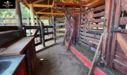 Imagem 12 de 19 de Excelente Fazenda Á Venda Com Ótima Localização Sarutaiá-piraju - Fa00036 - 68204645