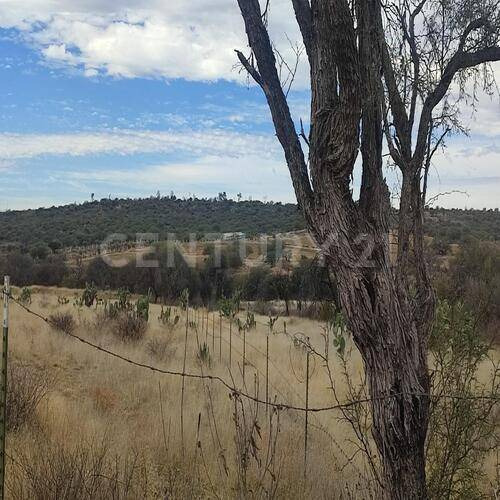 Terreno En Venta En Las Amapolas, San Francisco De Los Romos En Aguascalientes