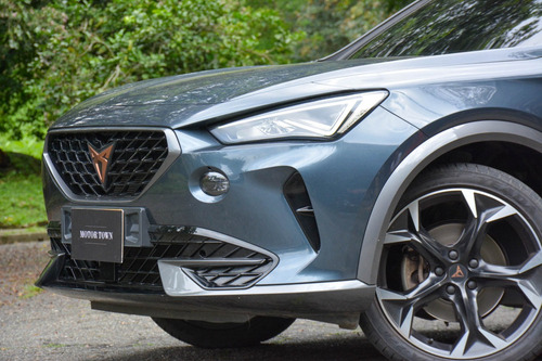 Cupra formentor 2.0 Tsi Metalizado Dsg