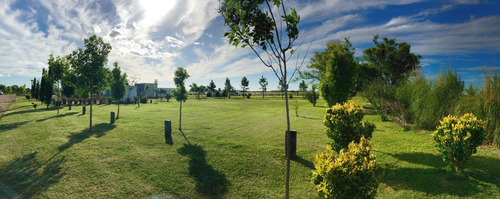 Venta Terreno En Campos De La Enriqueta