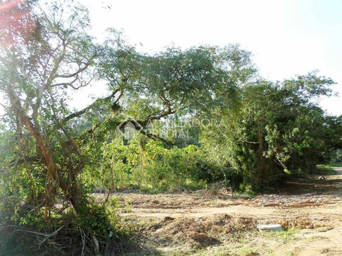 Imagem 3 de 10 de Terreno - Belem Novo - Ref: 225471 - V-225471