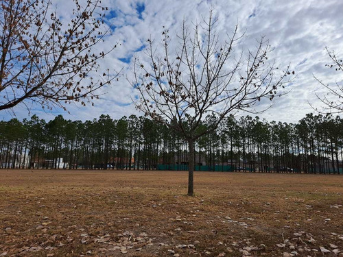 Imagen 10 de 16 de Terreno En Venta Chacras De La Villa