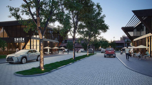 Locales Comerciales En Villa Allende