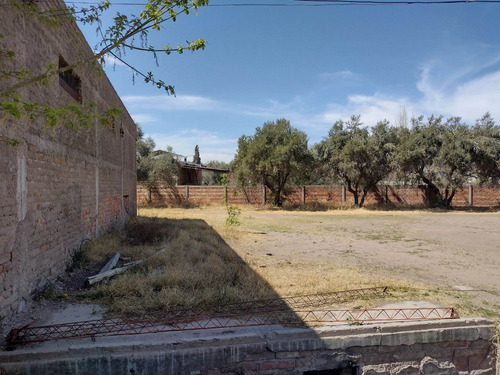 Imagen 4 de 20 de Vendó Galpon Predio San Rafael Mendoza