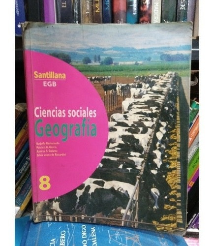 Ciencias Sociales Geografia 8- Santillana Egb - Usado -dvto