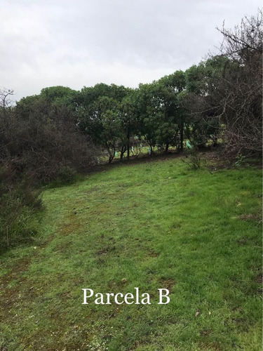Se Vende Terreno Sector Los Laureles, Limache