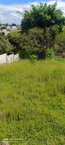 Vendo Terreno 8x17 Vem Nele, Último Lote, Valor Negociável