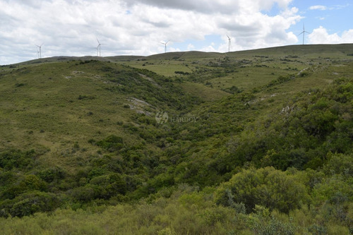Imagen 3 de 21 de Venta Chacra Sierra Ruta 39 Aigua Sierra De Los Caracoles Maldonado