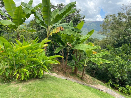 Imagen 5 de 12 de En Venta / Alquiler Casa En Caicaguana