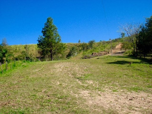 Imagem 18 de 25 de Para Você Ficar Em Contato Com A Natureza! Sítio Rural À Venda, Jardim Seabra, Amparo. - Si0004