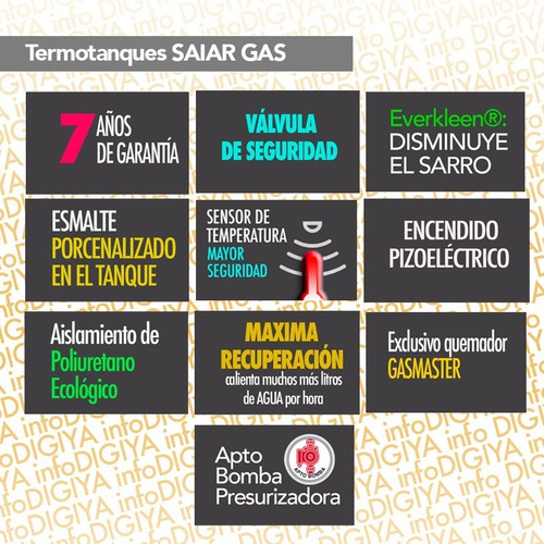 Imagen 2 de 6 de Termotanque Saiar Multigas 150litros Tpg150msa Pie Digiya