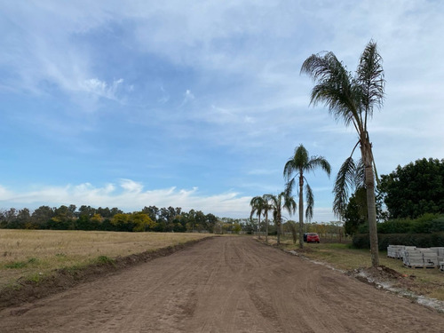 Imagen 14 de 16 de Terrenos En Venta - Dionisio Condominio Cerrado