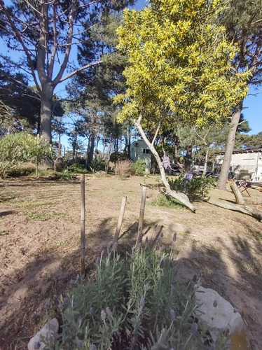 Casa En Venta - 3 Dormitorios 2 Baños - 90mts2 - Ostende