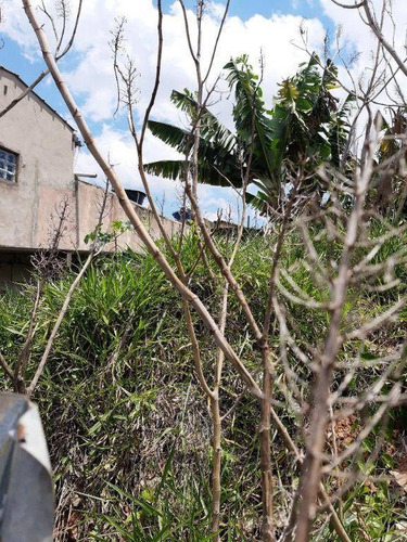 Imagem 3 de 6 de Terreno, 279 M² - Venda Por R$ 325.000,00 Ou Aluguel Por R$ 2.500,00/mês - Itaim - Guarulhos/sp - Te0166