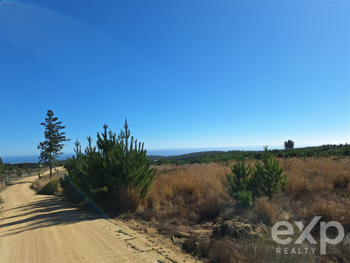 Vende Sitio L37 5.000 M2 Vista Al Mar Pichilemu