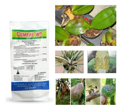 Cumbre Wp - Control Bacterias En Plantas X 100gr