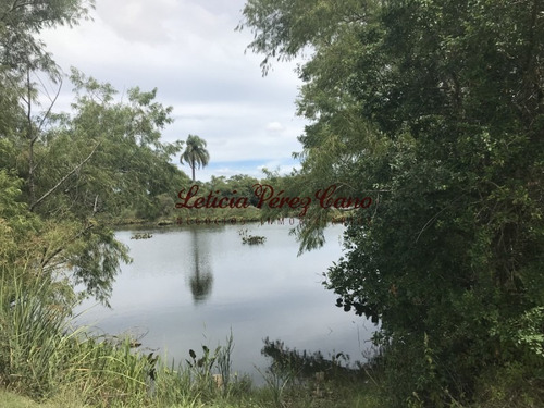 Venta De Chacra Sobre Ruta 9 A 30 Km De Jose Ignacio- Ref: 17546