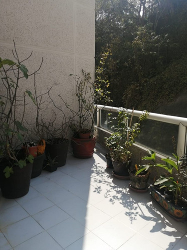 Imagen 9 de 18 de Departamento En Venta O Renta, Paseo De Los Laureles