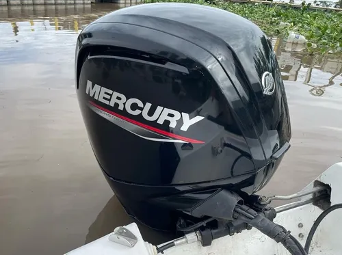 Paglietini Rs49 Mercury 90 Hp 4 Tiempos Año 2021