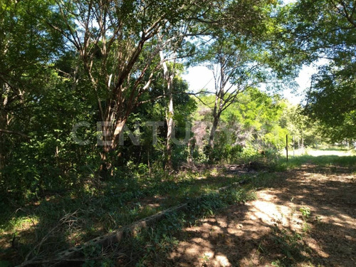 Terreno Venta Dos Montes Villahermosa A Macuspana Tabasco