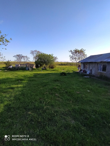 Imagen 1 de 13 de Vendo 6 Has Con Casa De 3 Dorm, Tajamar Buen Campo Árboles