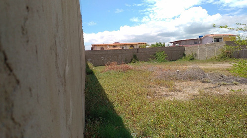 Imagen 2 de 4 de En Venta Terreno En Lecheria-zonificación R2- De 874 M2