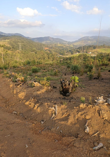 Imagem 19 de 21 de Ll- Terreno Sem Burocracia Para Você