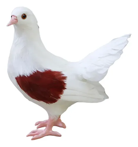 Paloma de juguete de cuerda para pájaros, rellenos de bolsas de regalos, novedad, mecanismo de simulación de paloma para niños, niñas y niños | Bodega Aurrera en línea