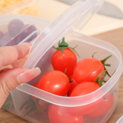 Caja Portátil Transparente Para Conservación De Productos Fr