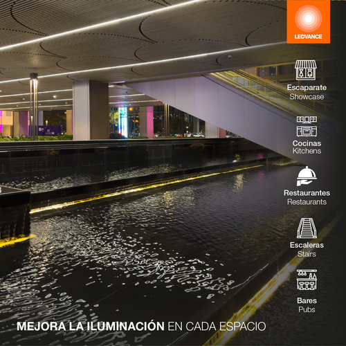 Tira Led Prime Flex 12w 24v 5m Uso Exterior Ledvance Osram Color De La Luz Blanco Cálido