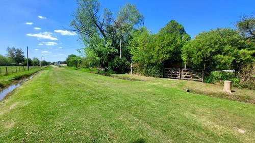 Imagen 3 de 22 de Excelente Quinta Con Pileta Y Gran Parque A La Venta En Abbott - Monte