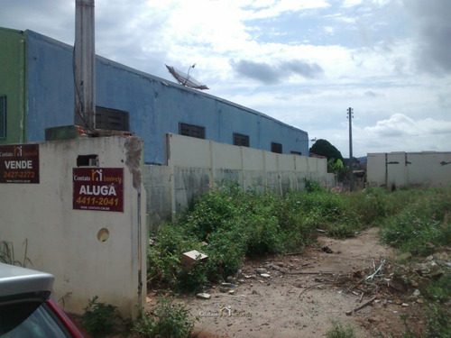 Imagem 2 de 8 de Terreno Caetetuba Locação Atibaia - 300m² - Te0171-2