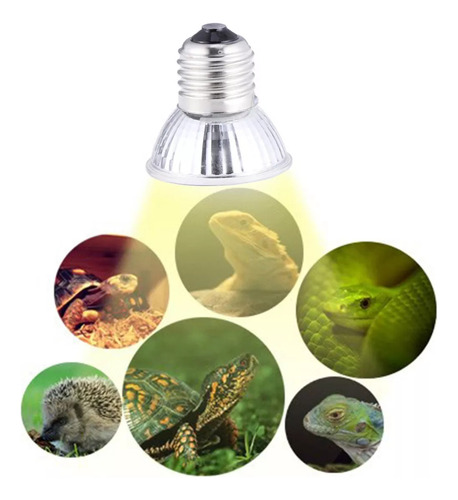 2 Lámparas Calefactoras 50w Para Reptiles Y Pollos