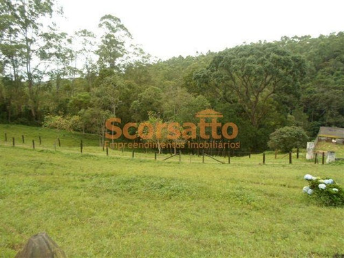 Imagem 12 de 12 de Área À Venda, Potuverá, Itapecerica Da Serra/sp - 4179