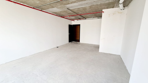 Imagem 5 de 15 de Parque Da Cidade Locacao E Venda | Npi Imoveis - V-4522