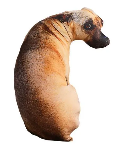 3 Almohada Realista Para Perros Juguetes De Peluche Cuotas sin