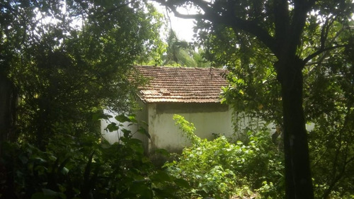 Imagem 7 de 14 de Terreno Para Locação Em Nova Descoberta Com 2200 M² Por R$ 13.000/mês - Nova Descoberta - Recife/pe - Te0051