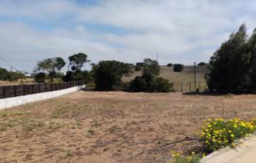 Industrial En Venta En Puchuncaví