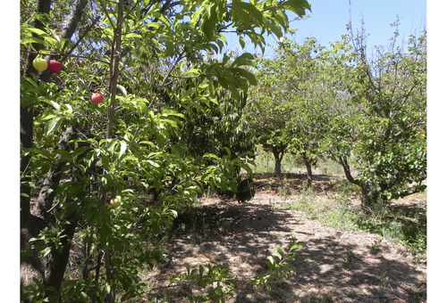 Parcela En Venta En La Serena