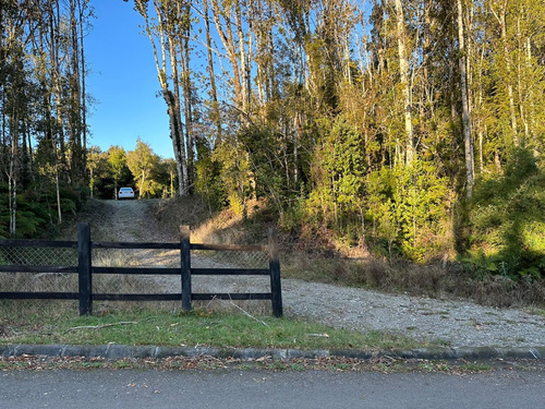 Espectacular Parcela Con Bosque En Condominio Las Tranqueras