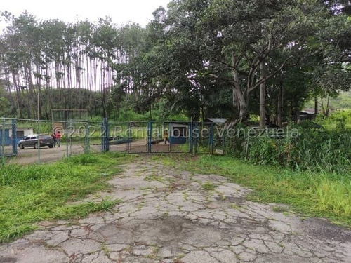 Imagen 10 de 20 de Finca Avicola En Venta Bejuma Carabobo