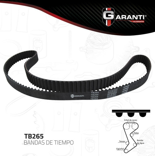 Banda Tiempo Para Chrysler Cirrus 1995 - 2009 (garanti)