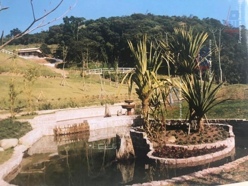 Imagem 7 de 15 de Ref.: 6517 - Area Em São Roque Para Venda - V6517