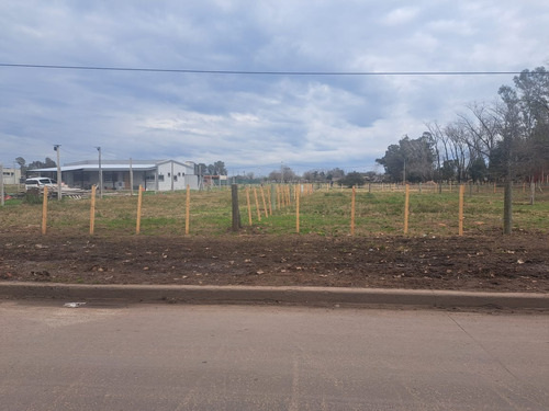 Lotes 462 M² A La Venta En Derqui