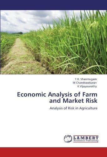 Analisis Economico Del Analisis De Riesgo De La Finca Y Del