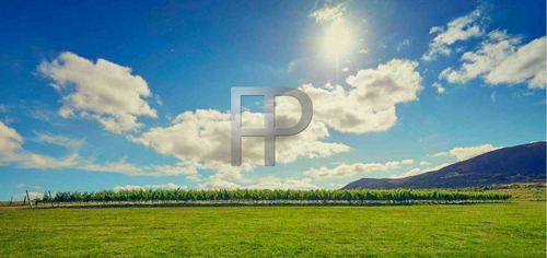 Imagen 2 de 6 de Campo En Venta Pueblo Edén 5 Hectáreas