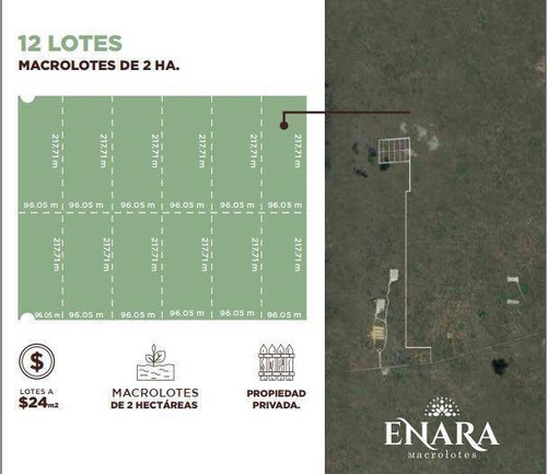 Imagen 5 de 7 de Venta De Macrolotes | Enara | Celestun