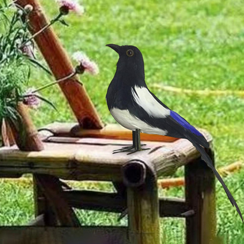 Urraca-pájaro De Imitación, Modelo De Pluma 21cm