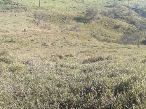 Imagem 6 de 11 de R17-terreno Com Vista Privilegiada