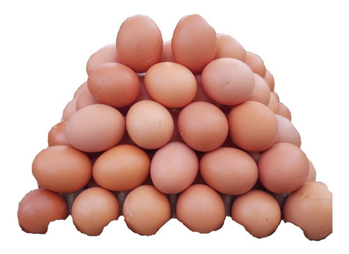 Huevos De Campo Pastoril Agroecologico Organico